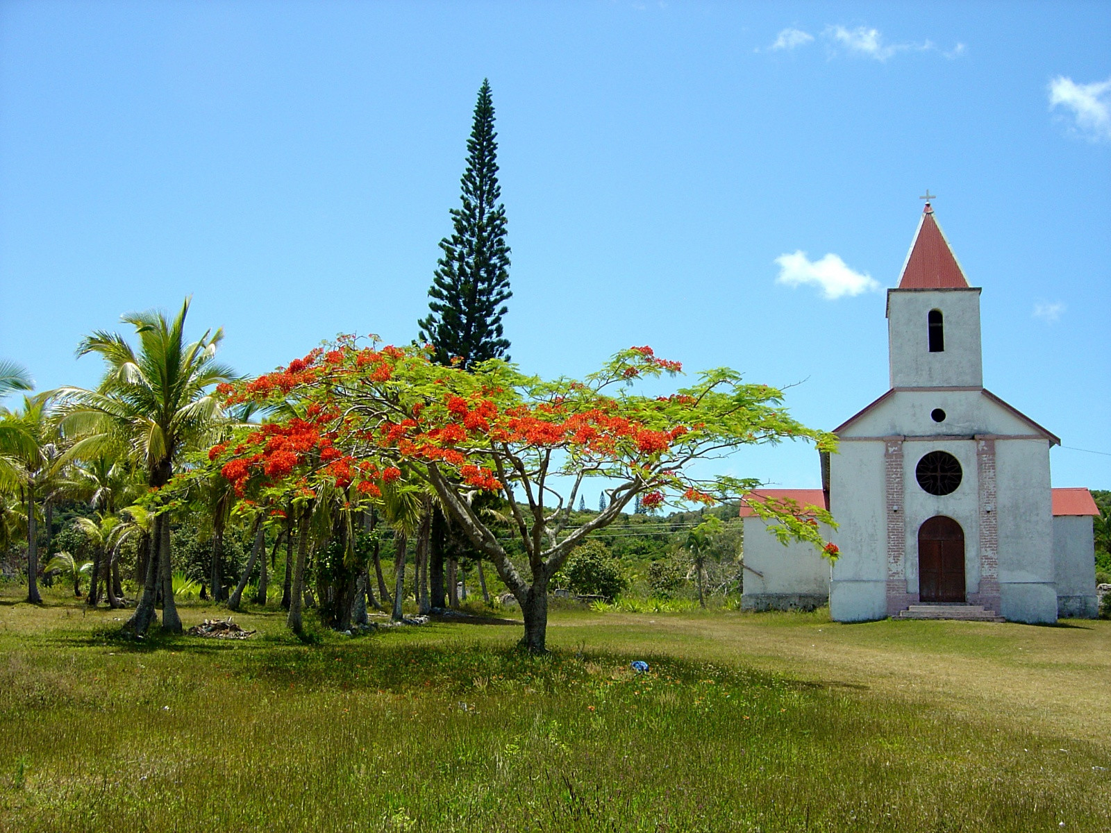 Остров Маре (Mare Island) – фотографии Новой Каледонии