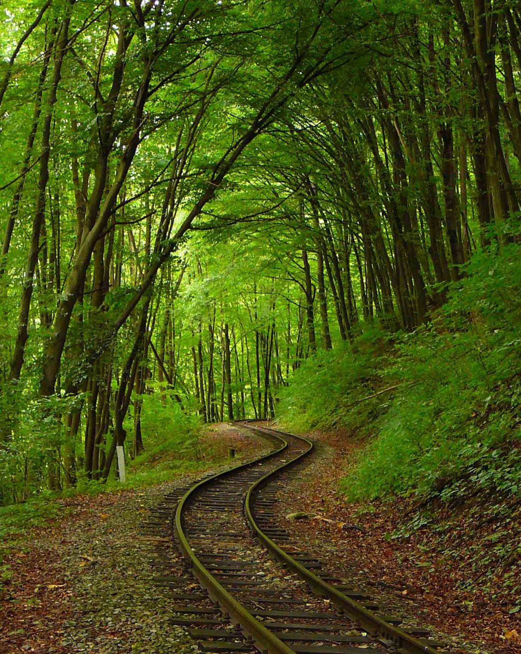 Бюкк Национальный Парк, Венгрия, фото № 70079 – фотографии Венгрии