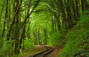 Бюкк Национальный Парк, Венгрия, фото № 70079 – фотографии Венгрии