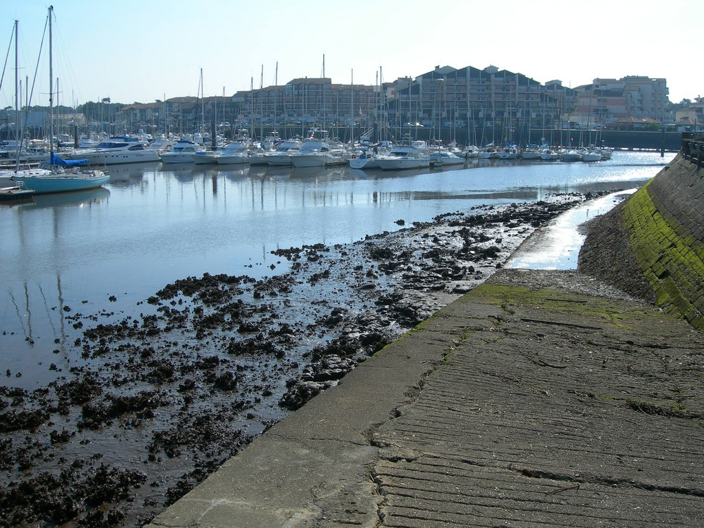 Яхты и катера в Капбретоне, Франция – фотографии Франции