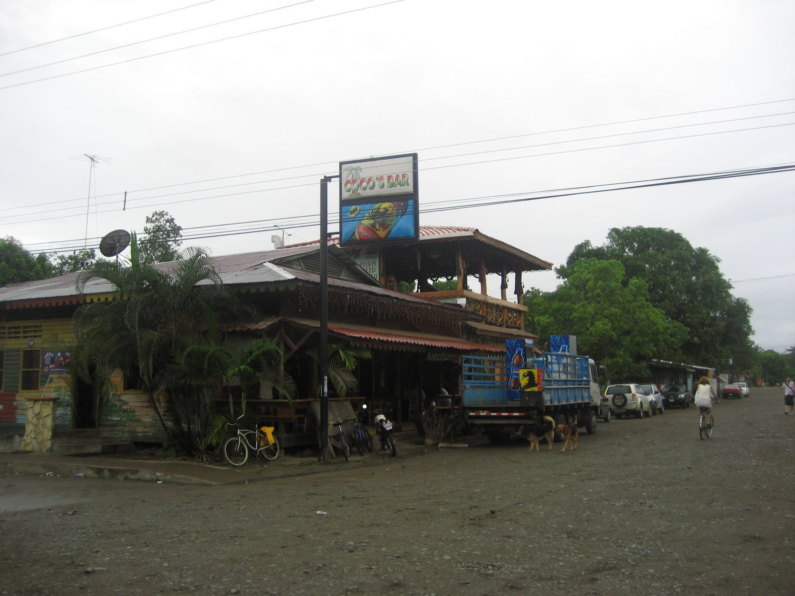 Кауита, Лимон провинция, Коста-Рика, фото № 40067 – фотографии Коста-Рики