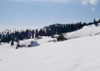 Велика Планина, Словения, фото № 56964 – фотографии Словении