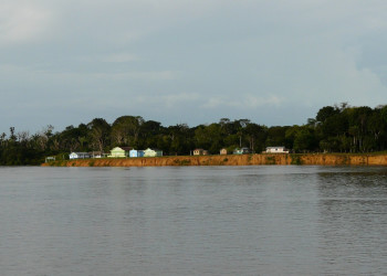 Амазонас штат, Бразилия, фото № 58805 – фотографии Бразилии