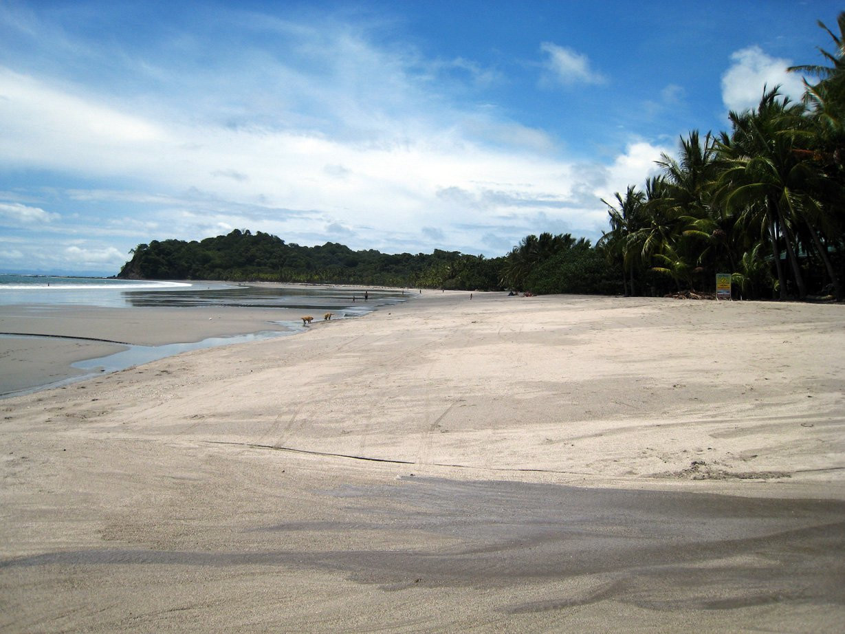 Самара, Гуанакасте провинция, Коста-Рика, фото № 39910 – фотографии Коста-Рики