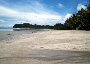 Самара, Гуанакасте провинция, Коста-Рика, фото № 39910 – фотографии Коста-Рики