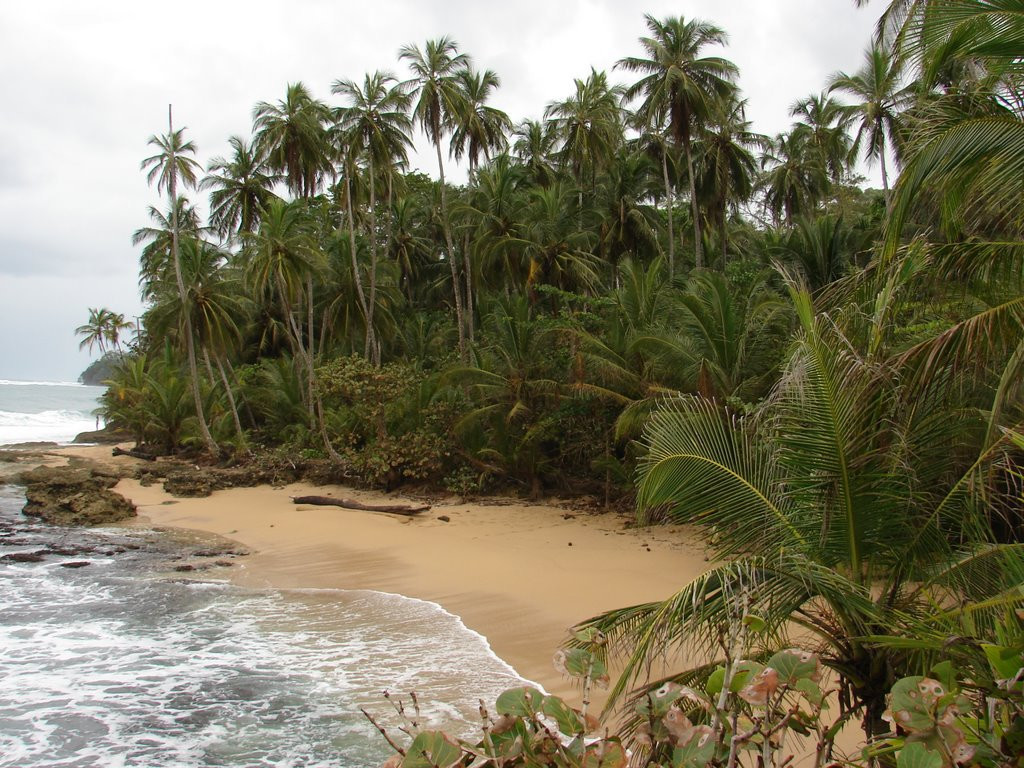 Доминикаль, Пунтаренас провинция, Коста-Рика, фото № 40441 – фотографии Коста-Рики