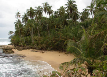 Доминикаль, Пунтаренас провинция, Коста-Рика, фото № 40441 – фотографии Коста-Рики