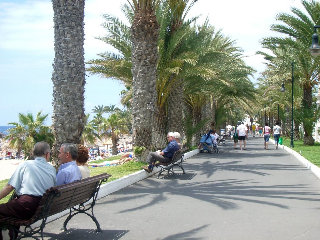 Лос-Кристианос, Тенерифе остров, Канарские острова, фото № 33444 – фотографии Канарских островов