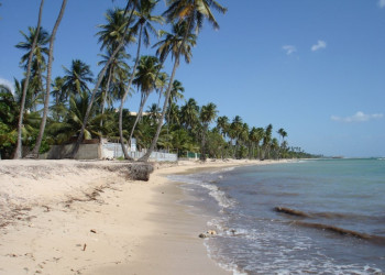 Хуан-Долио, Доминикана, фото № 30739 – фотографии Доминиканы