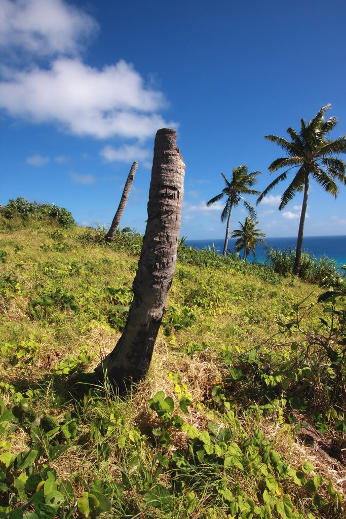 Дравуни остров, Кадаву группа островов, Фиджи, фото № 48574 – фотографии Фиджи