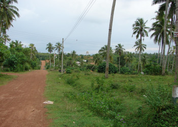 Ваддува, Шри-Ланка, фото № 50781 – фотографии Шри-Ланки