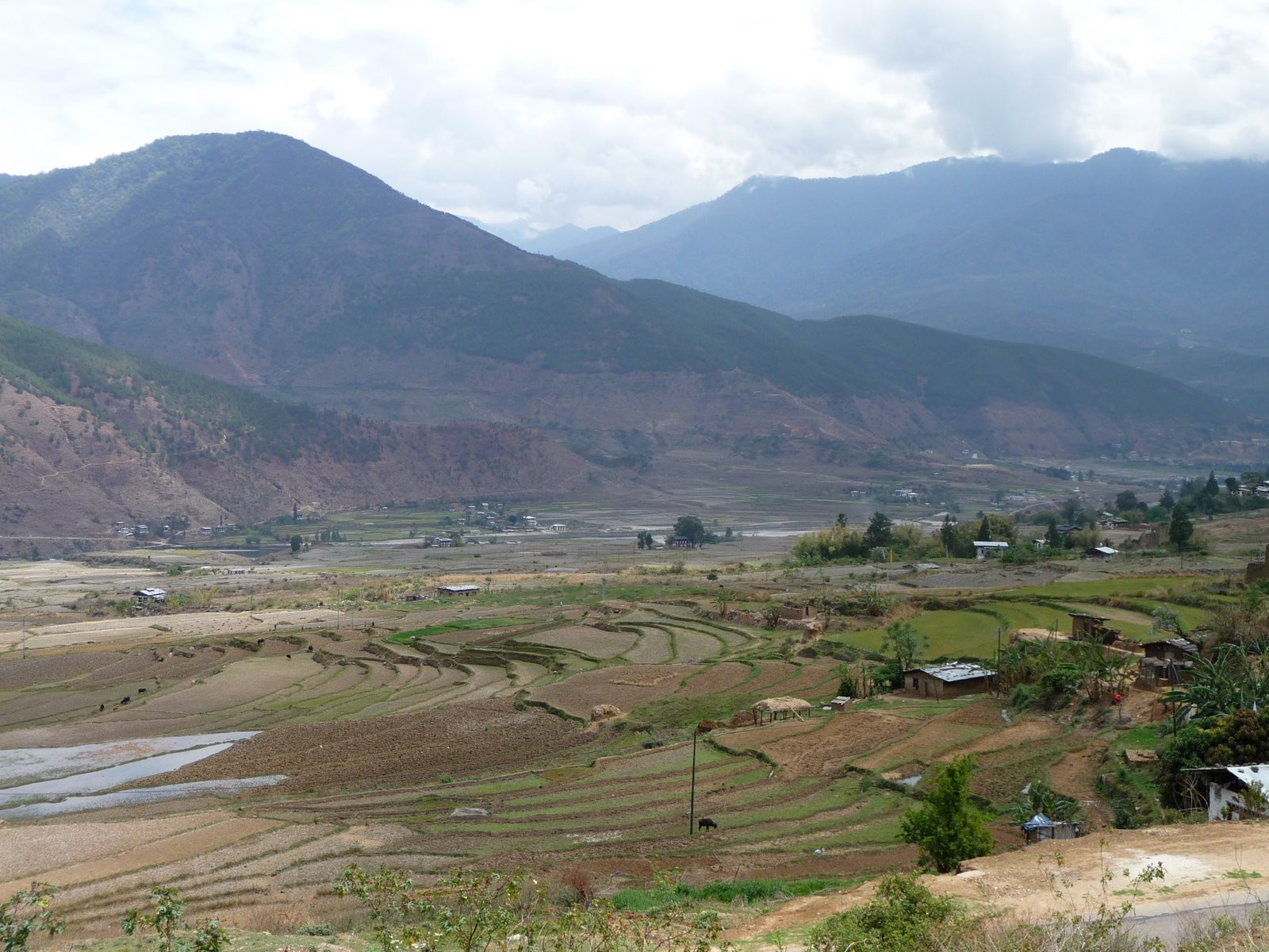Бутан, фото № 4707 – фотографии Бутана