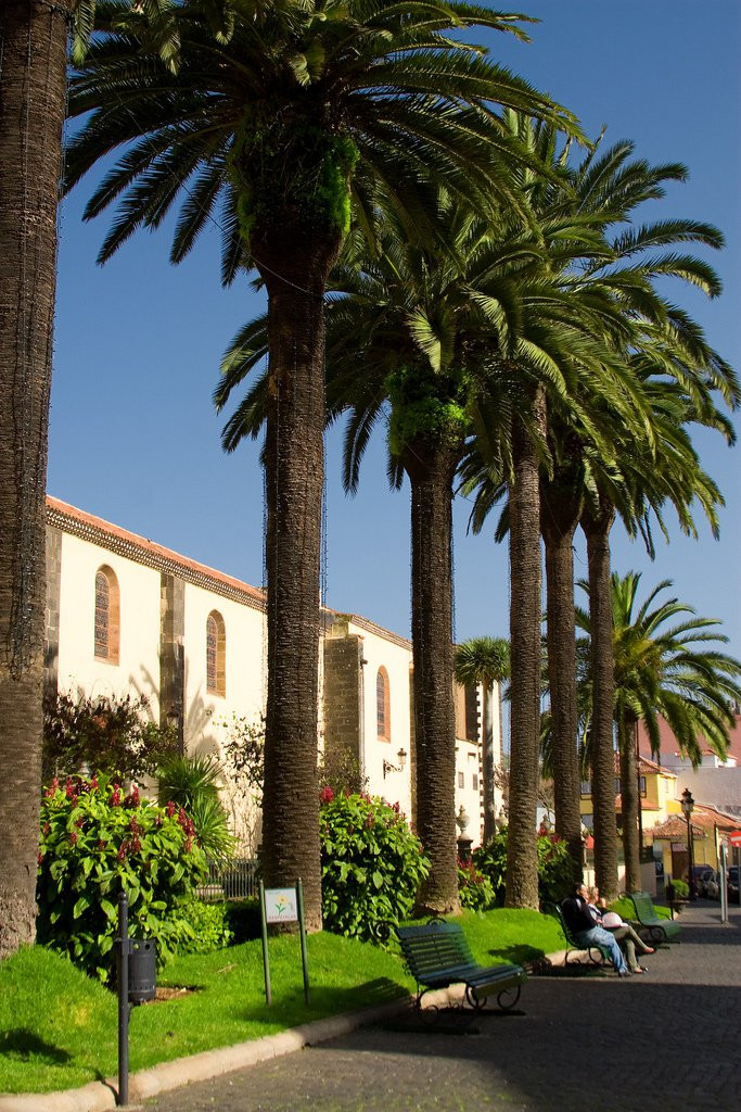 Сан-Кристобаль-де-ла-Лагуна, Тенерифе остров, Канарские острова, фото № 33268 – фотографии Канарских островов