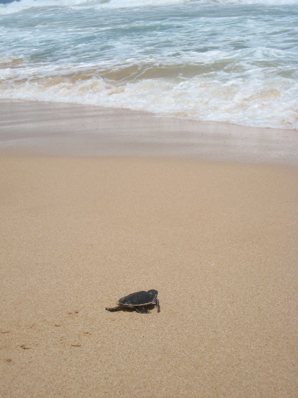 Галле, Шри-Ланка, фото № 50940 – фотографии Шри-Ланки