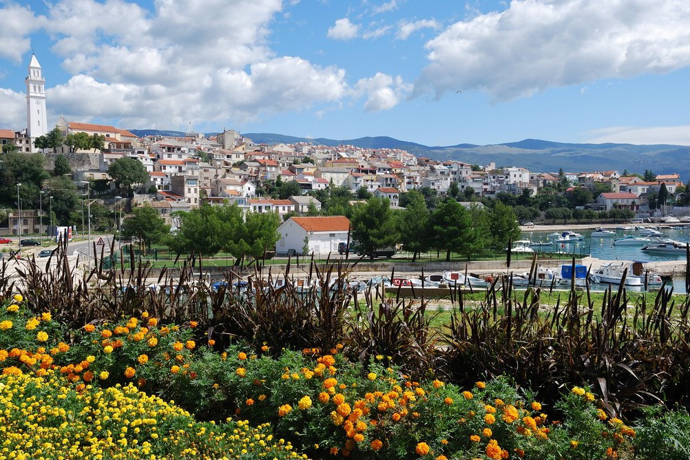 Цветы в Нови-Винодолски, Хорватия – фотографии Хорватии