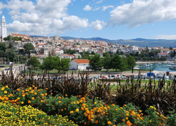 Цветы в Нови-Винодолски, Хорватия – фотографии Хорватии