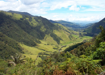 Долина Кокора в Колумбии. Фото 4 – фотографии Колумбии