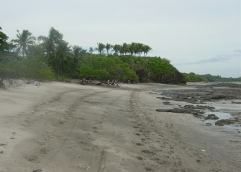 Плайя Хункуиллал, Гуанакасте провинция, Коста-Рика, фото № 39820 – фотографии Коста-Рики