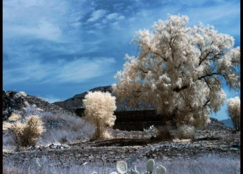 Теотиуакан, Мексика, фото № 44153 – фотографии Мексики