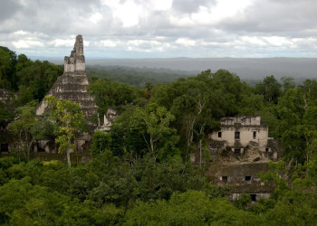 Tikal – фотографии Гватемалы