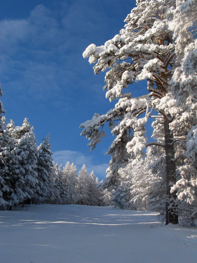 Горнолыжная база "Мраткино". Фото 10 – фотографии России