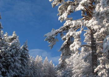 Горнолыжная база "Мраткино". Фото 10 – фотографии России