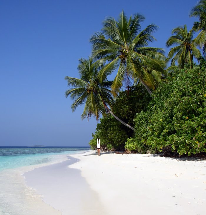 Пляж в Даалу Атолл, Мальдивы. Фото 7 – фотографии Мальдивских островов