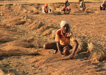 Читван Национальный Парк, Непал, фото № 79039 – фотографии Непала