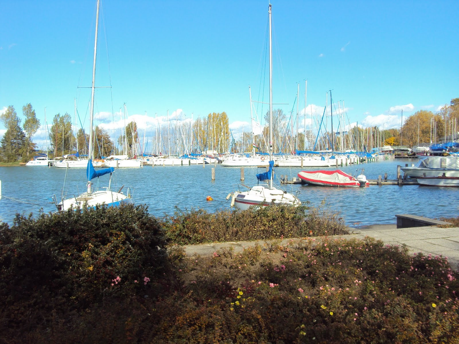 Балатонфёльдвар, Балатон озеро, Венгрия, фото № 69801 – фотографии Венгрии