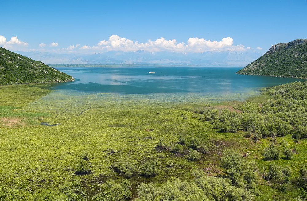 Скадарское озеро, Черногория. Фото 38 – фотографии Черногории