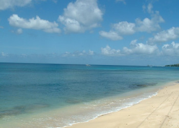 Море на Восточном побережье, Барбадос. Фото 8 – фотографии Барбадоса