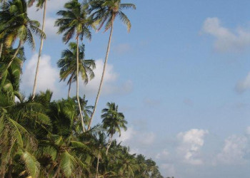 Ваддува, Шри-Ланка, фото № 50791 – фотографии Шри-Ланки