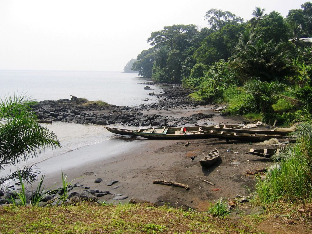 Камерун. Фото 11 – фотографии Камеруна