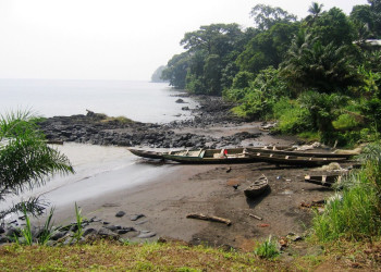 Камерун. Фото 11 – фотографии Камеруна