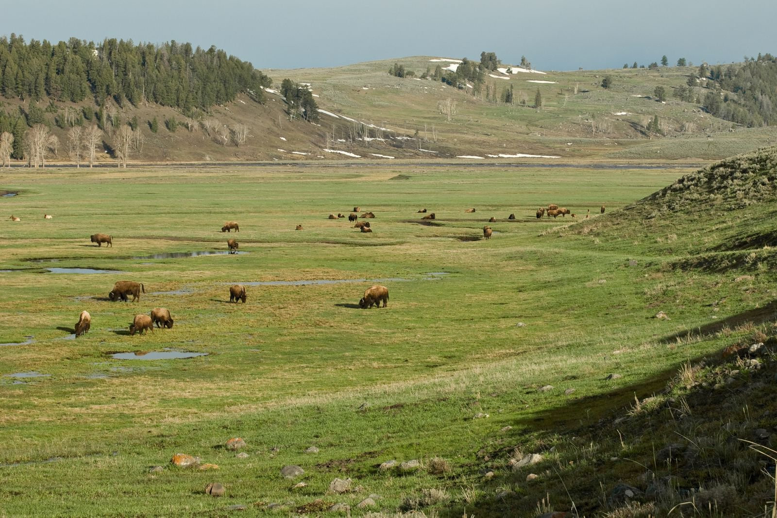 Йеллоустоун Национальный Парк, Вайоминг штат, США, фото № 67724 – фотографии США