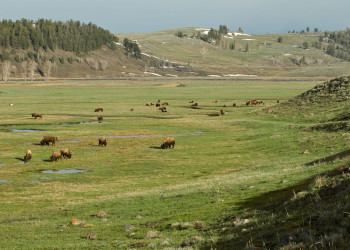 Йеллоустоун Национальный Парк, Вайоминг штат, США, фото № 67724 – фотографии США