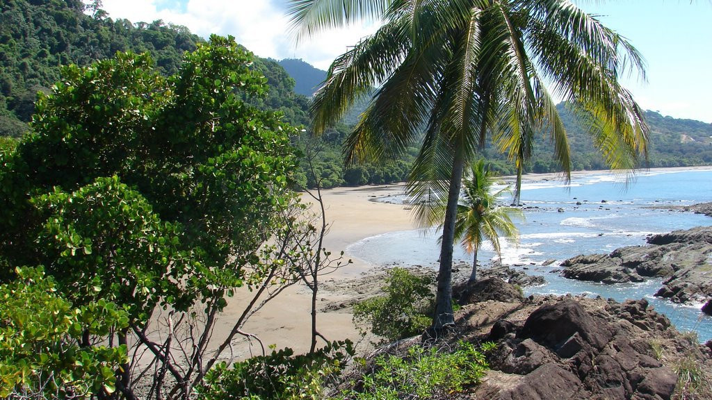 Доминикаль, Пунтаренас провинция, Коста-Рика, фото № 40442 – фотографии Коста-Рики