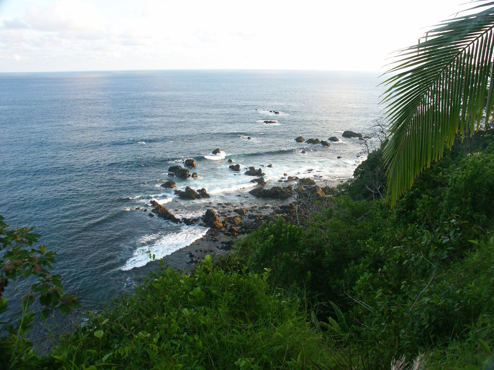 Корковадо Национальный Парк, Пунтаренас провинция, Коста-Рика, фото № 40542 – фотографии Коста-Рики