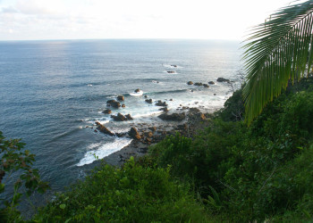 Корковадо Национальный Парк, Пунтаренас провинция, Коста-Рика, фото № 40542 – фотографии Коста-Рики