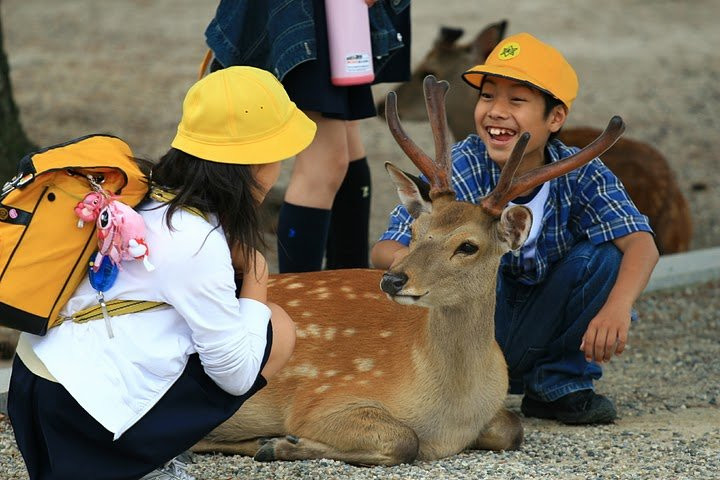 Nara – фотографии Японии