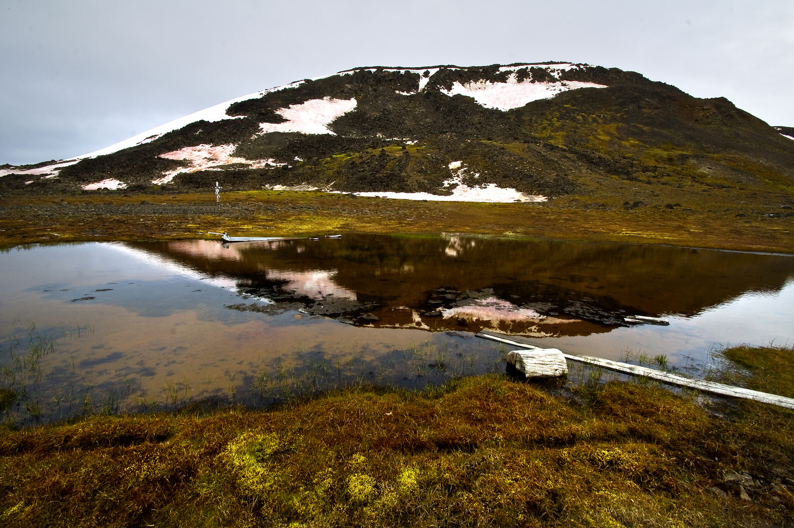 Архипелаг Земля Франца-Иосифа, Россия. Фото 2 – фотографии России