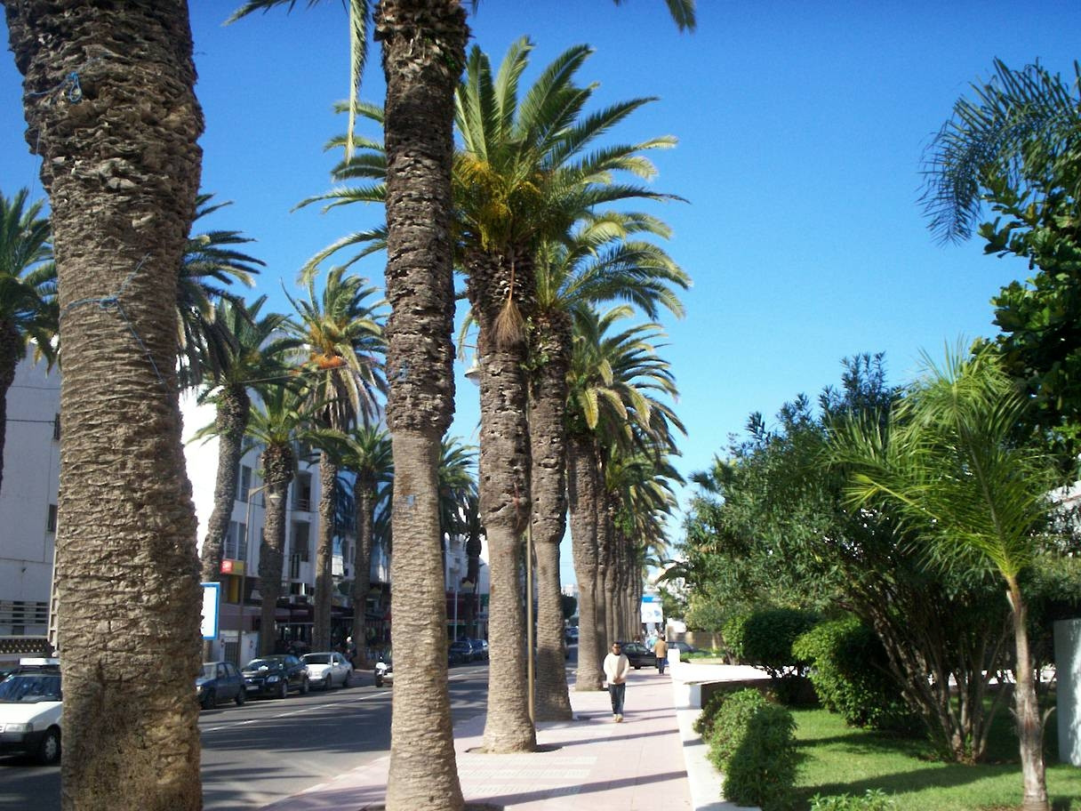 Эль-Жадида, Марокко, фото № 8636 – фотографии Марокко