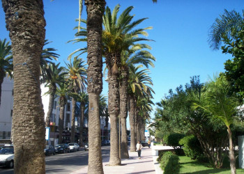 Эль-Жадида, Марокко, фото № 8636 – фотографии Марокко