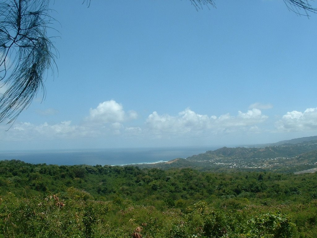 Панорамный вид Восточного побережья, Барбадос. Фото 13 – фотографии Барбадоса
