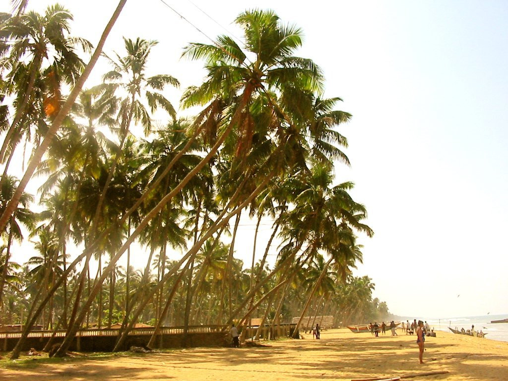 Ваддува, Шри-Ланка, фото № 50793 – фотографии Шри-Ланки