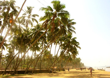 Ваддува, Шри-Ланка, фото № 50793 – фотографии Шри-Ланки