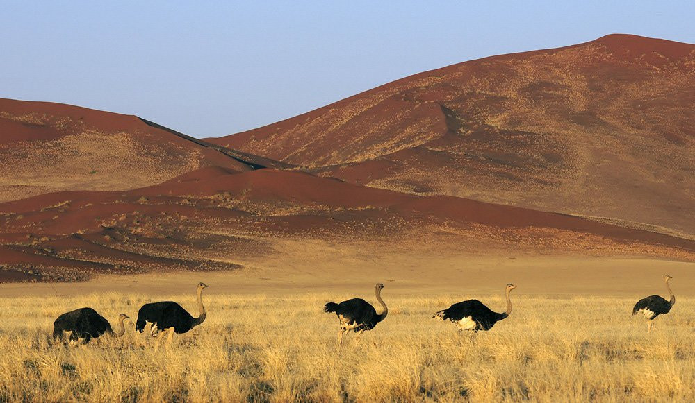 Соссусфлей, Намибия, фото № 80058 – фотографии Намибии