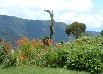 Реюньон, фото № 302 – фотографии Реюньона