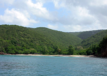 Гваделупа, фото № 3635 – фотографии Гваделупы