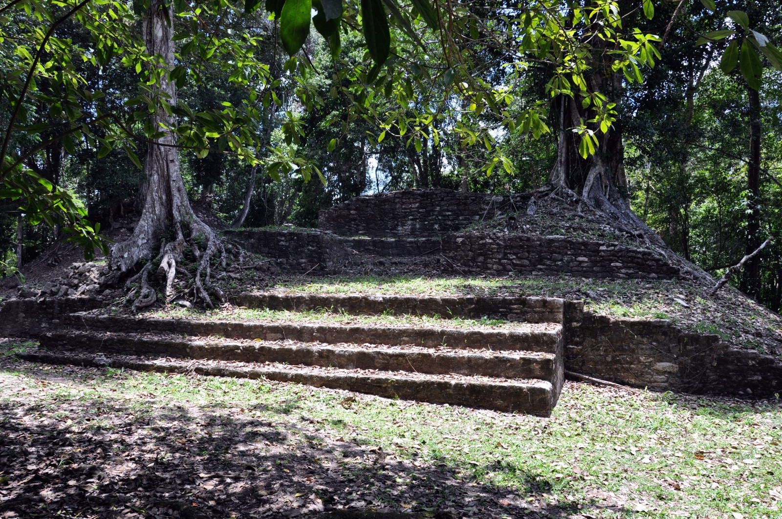 Развалины Караколь – фотографии Белиза